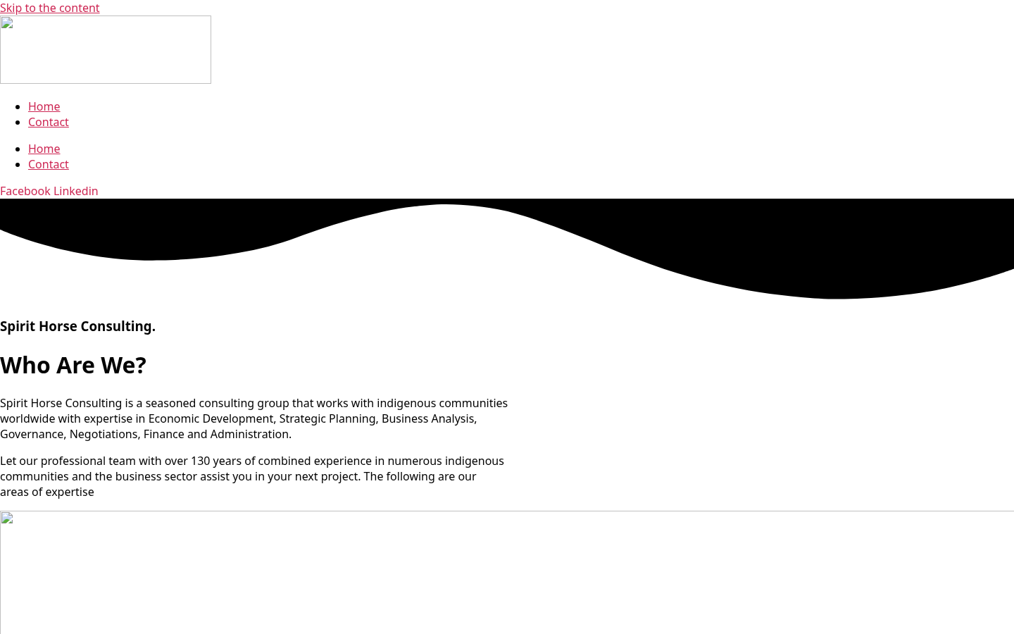 Spirit Horse Consulting website screenshot